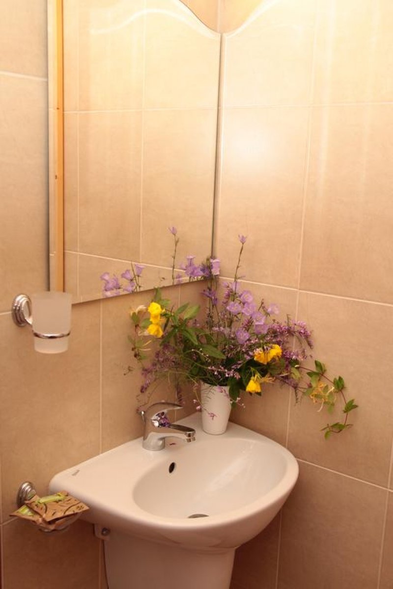 Горски дом Трявна - Снимка 10