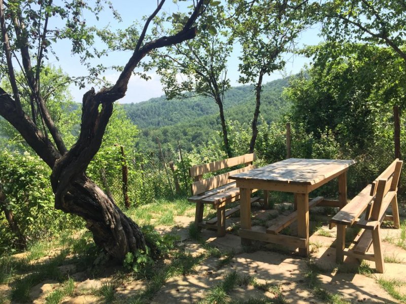 Горски дом Трявна - Снимка 7