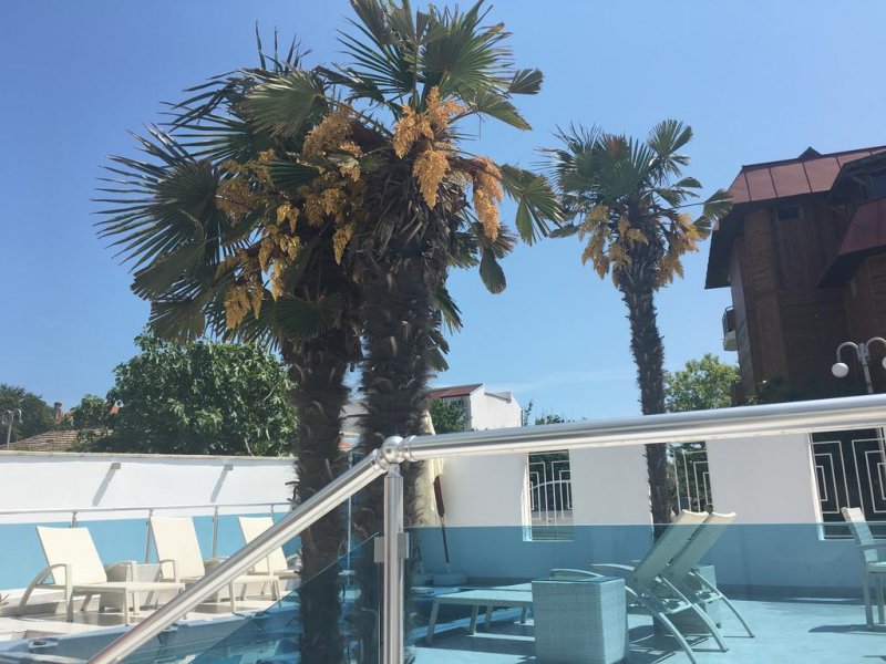 Агата Бийч - Снимка 2