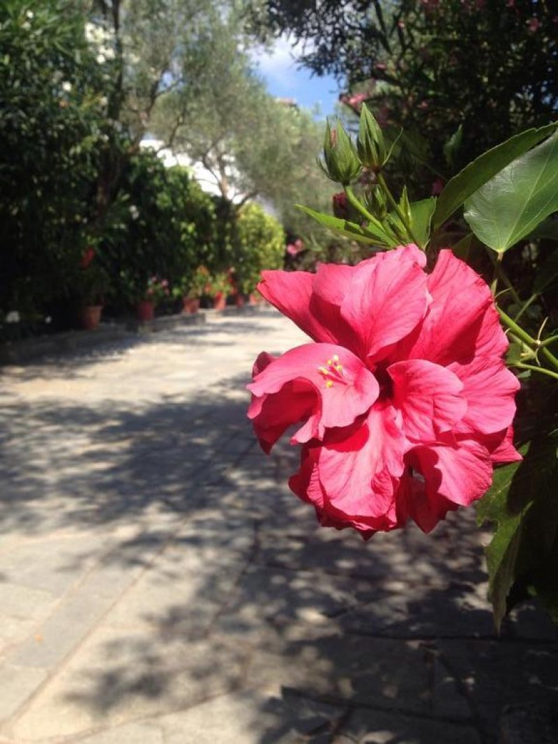 Hotel Argilos - Снимка 1