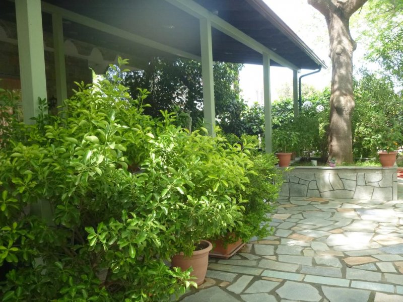 Hotel Argilos - Снимка 1