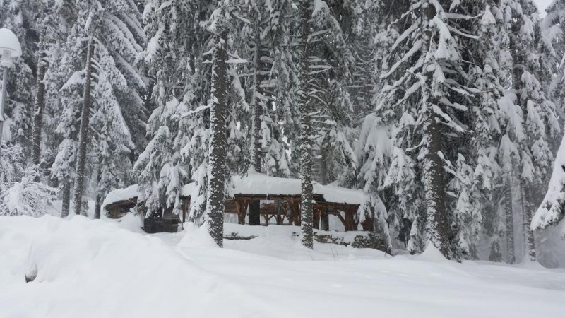 Хотел Елина - Снимка 2