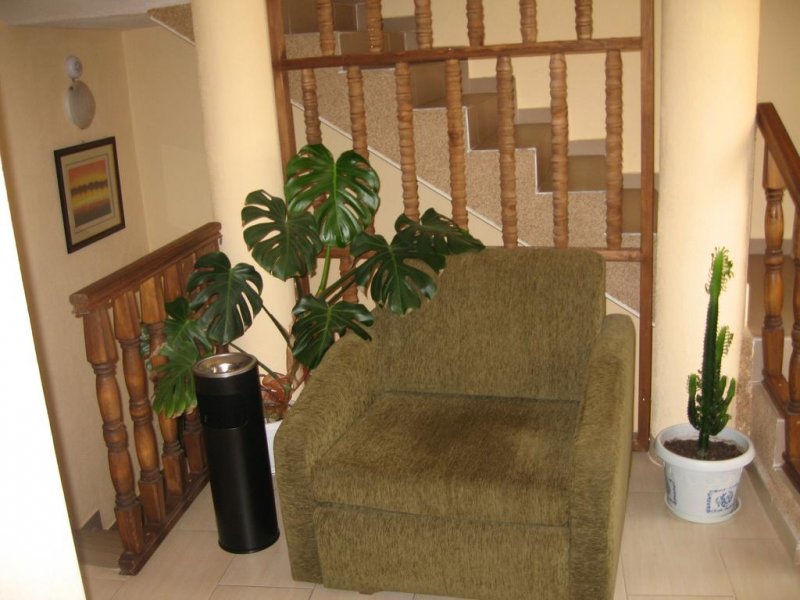 Семеен хотел Миглена - Снимка 4