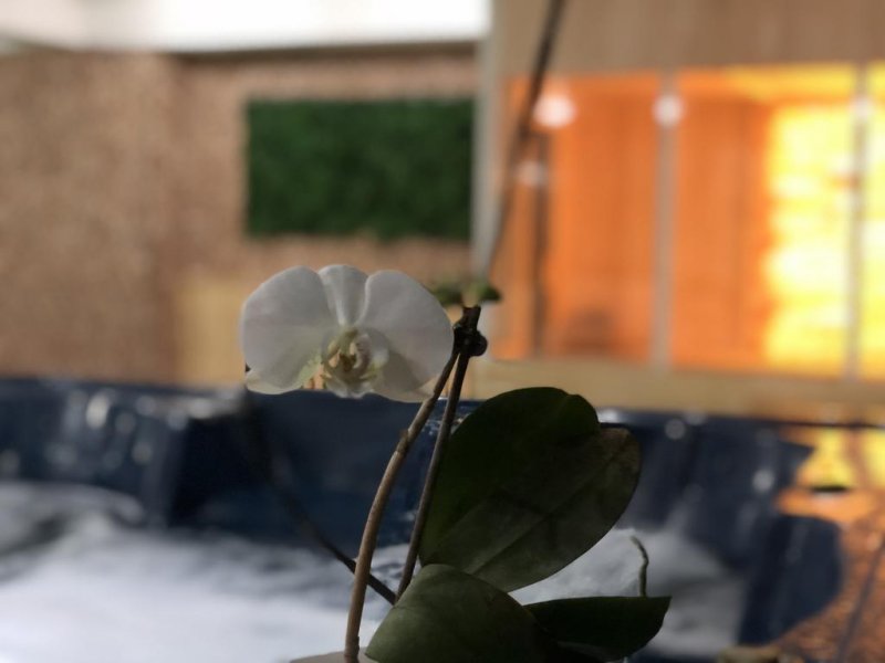 Хотел Елегант Лукс - Снимка 8