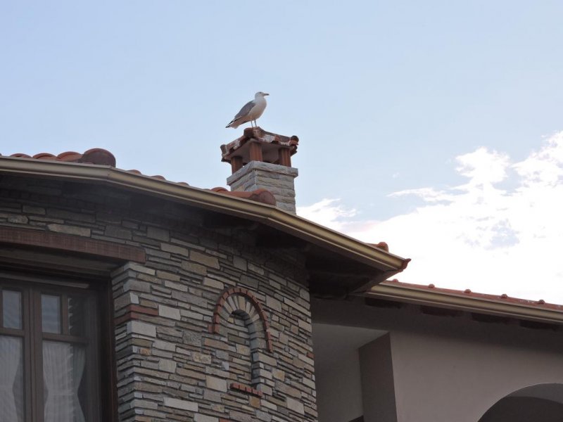 Hotel Giorgos - Снимка 8