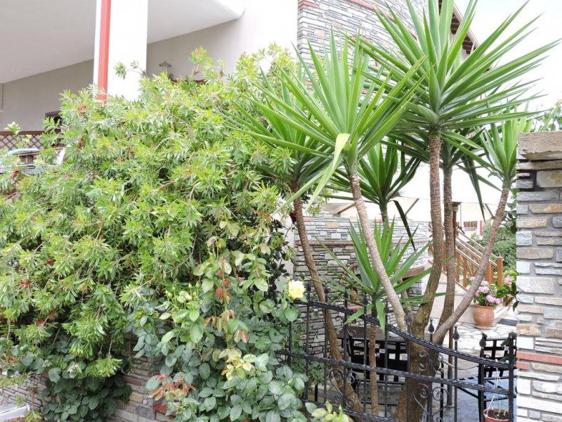Hotel Giorgos - Снимка 9