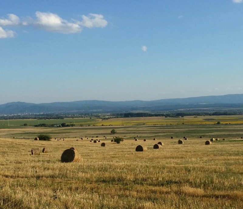 Къща за гости Бояна - Снимка 1