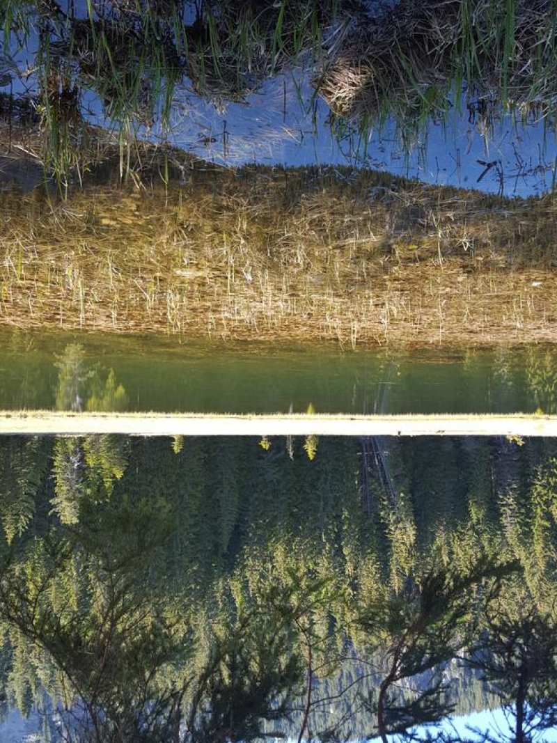 Хотел Кристал - Снимка 2