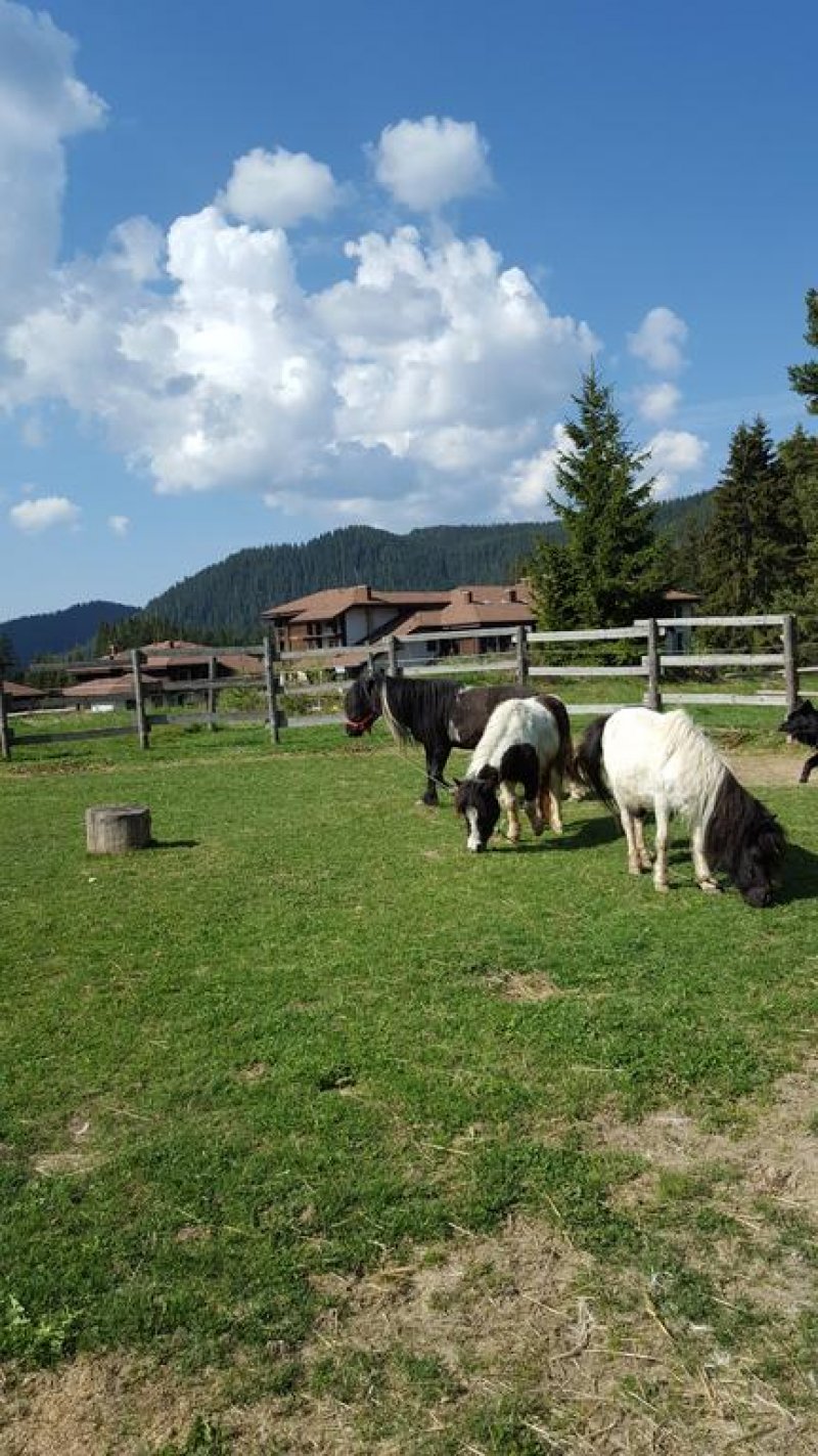 Хотел Кристал - Снимка 10