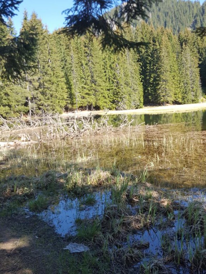 Хотел Кристал - Снимка 7