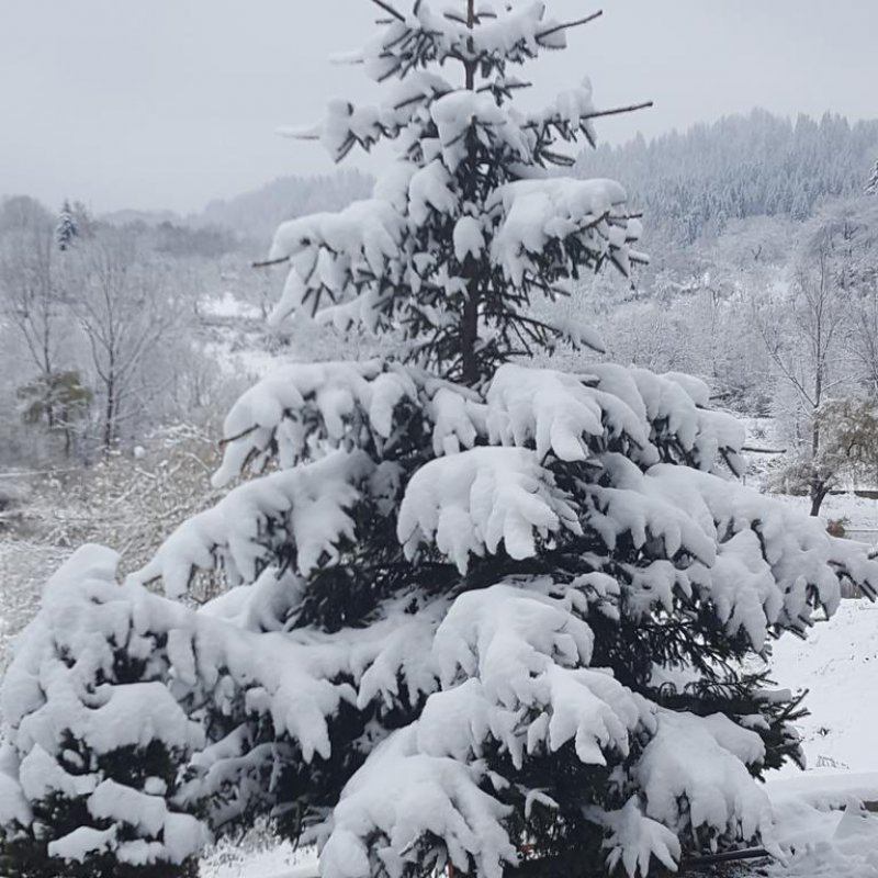 Хотел Кристал - Снимка 10