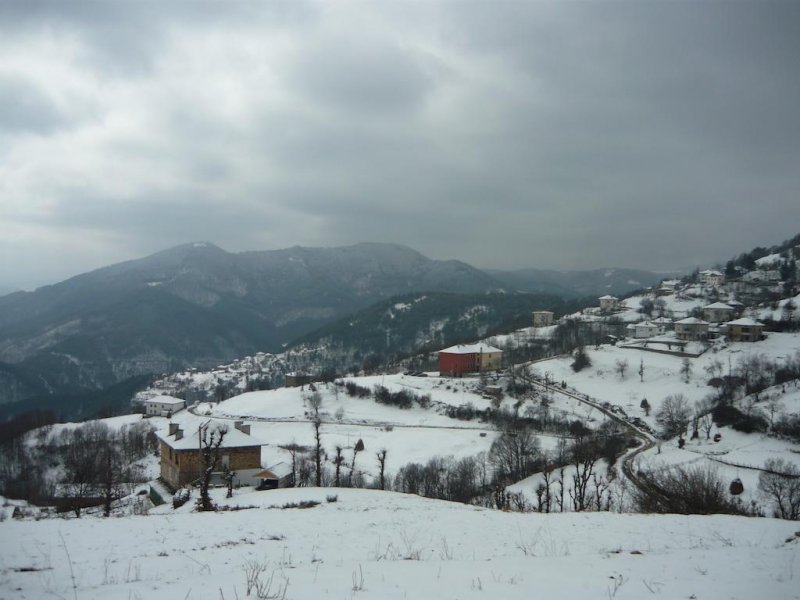 Екохотел Вишнево - Снимка 4