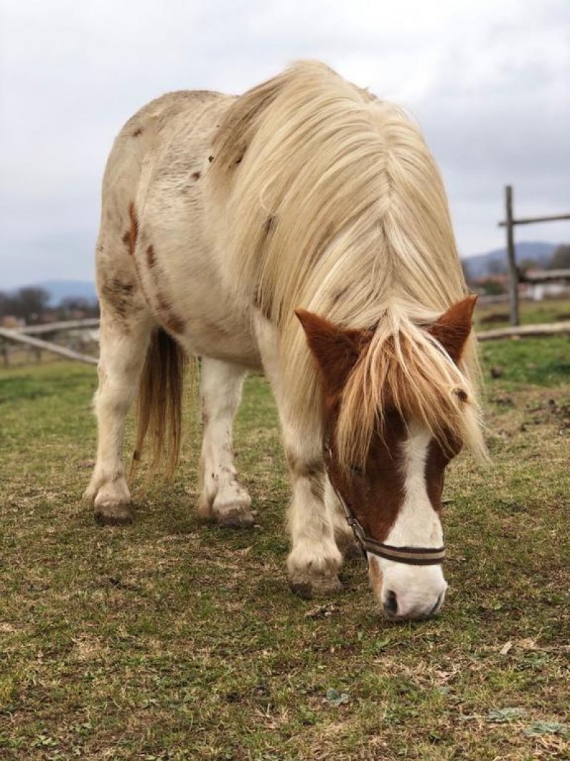 Къща за гости Рая - Снимка 11