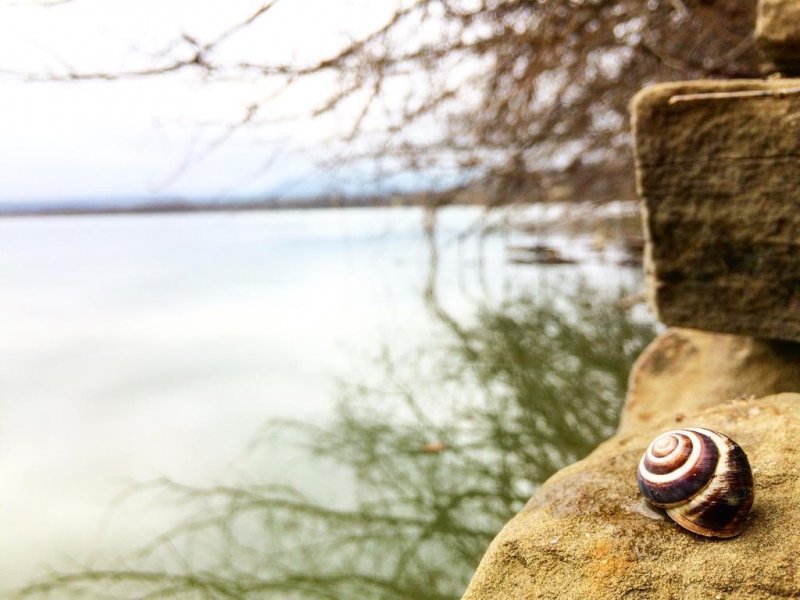 Къща за гости Рая - Снимка 7