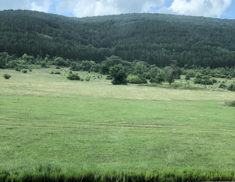 Къща за гости Рая - Снимка 8