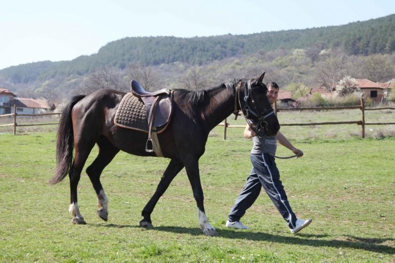 Къща за гости Рая - Снимка 1