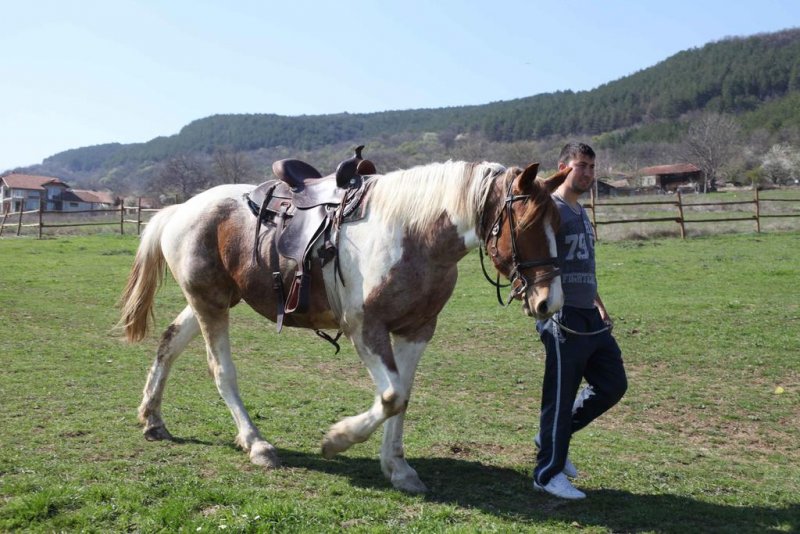 Къща за гости Рая - Снимка 10