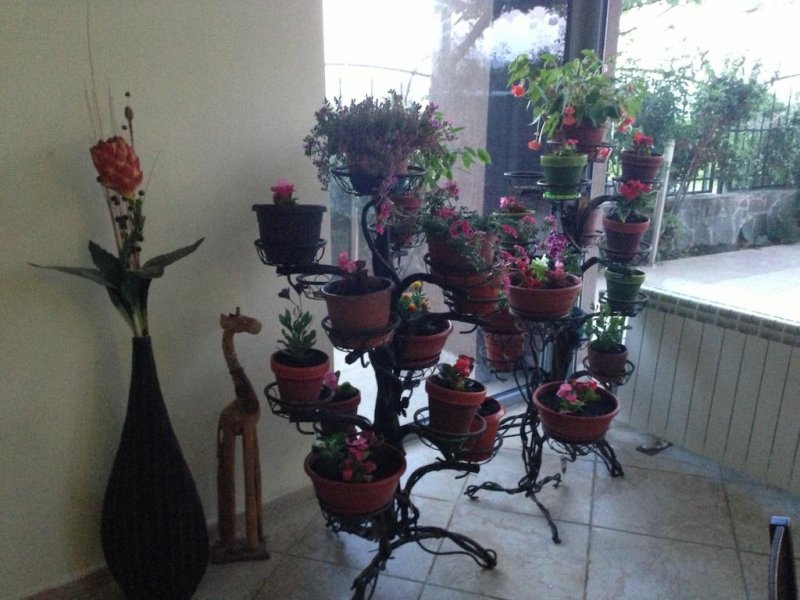 Хотел Афродита - Снимка 2