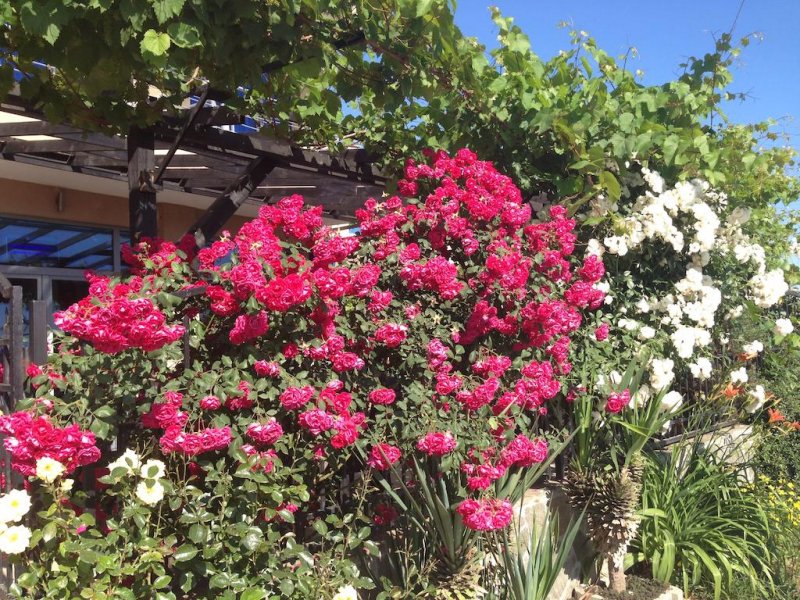 Хотел Афродита - Снимка 10