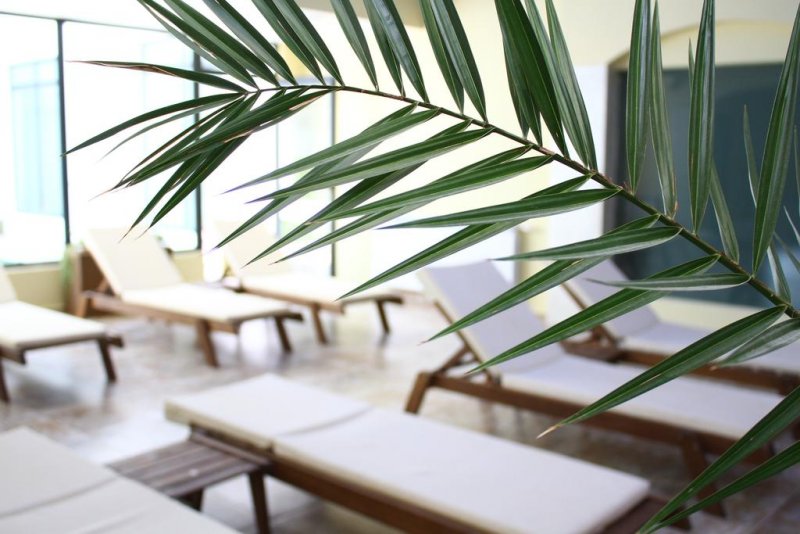 Уайт Рок Касъл Суит Хотел и СПА - Снимка 2