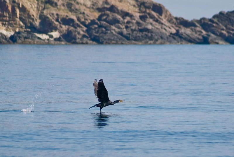 Апартхотел Южна перла - Снимка 4