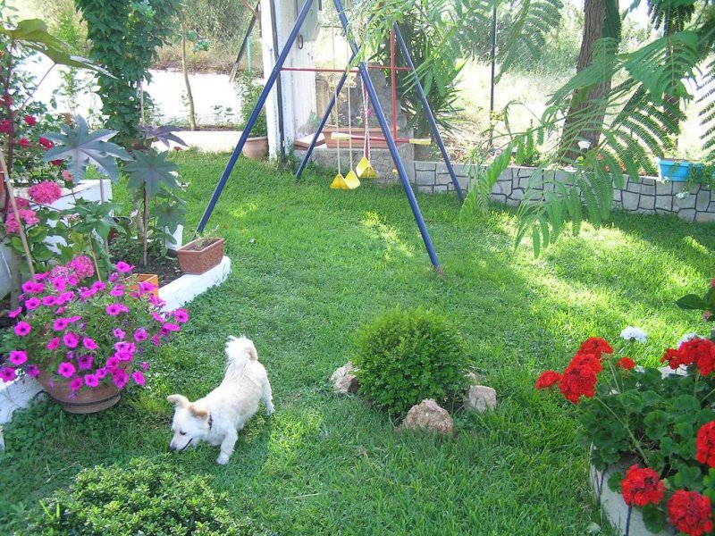 Villa Dallas - Снимка 1