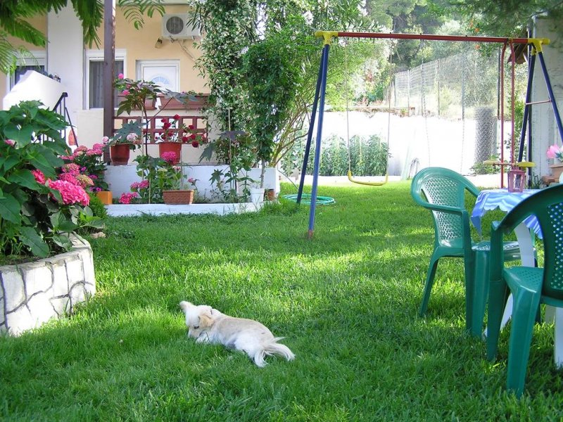 Villa Dallas - Снимка 2