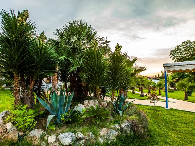 Tresor Sousouras Hotel  - Снимка 2