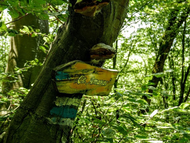 Бунгала Воденицата - Снимка 8