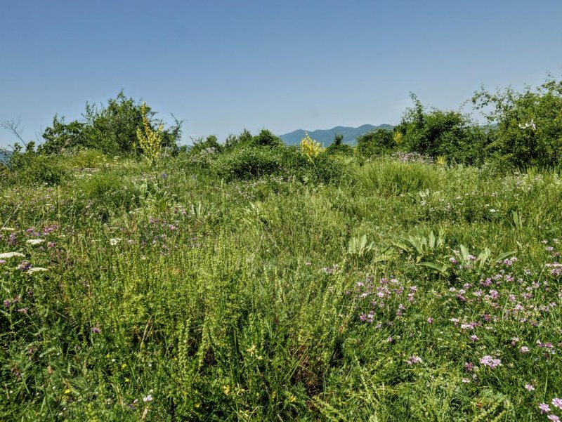 Бунгала Воденицата - Снимка 11