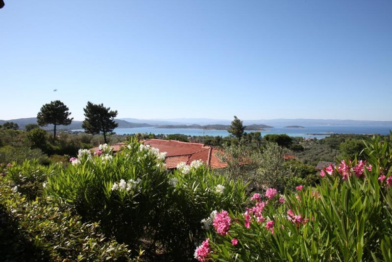 Elena Apartments - Снимка 9