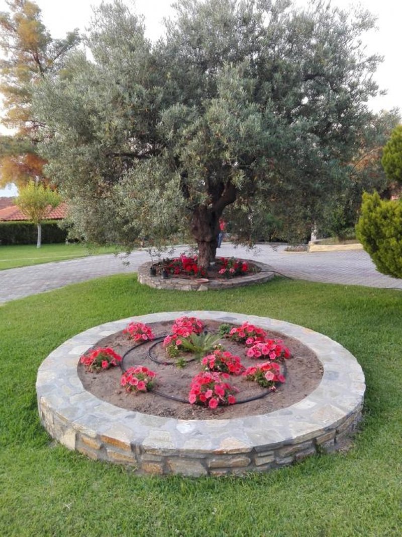 Elena Apartments - Снимка 2