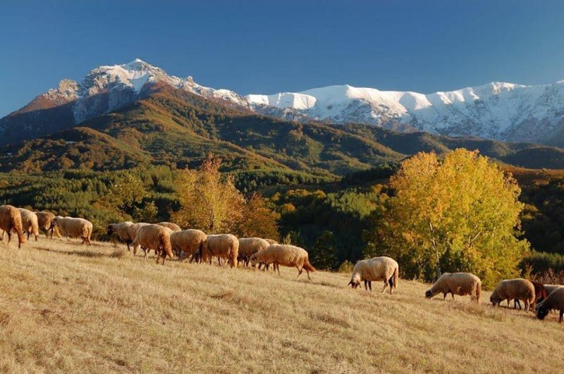 Къща за гости Почивка - Снимка 5