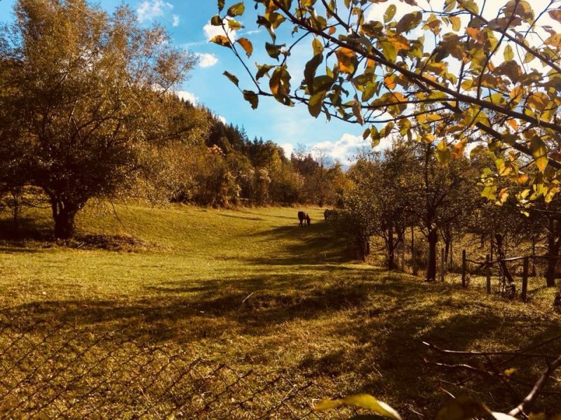 Къща за гости Почивка - Снимка 9