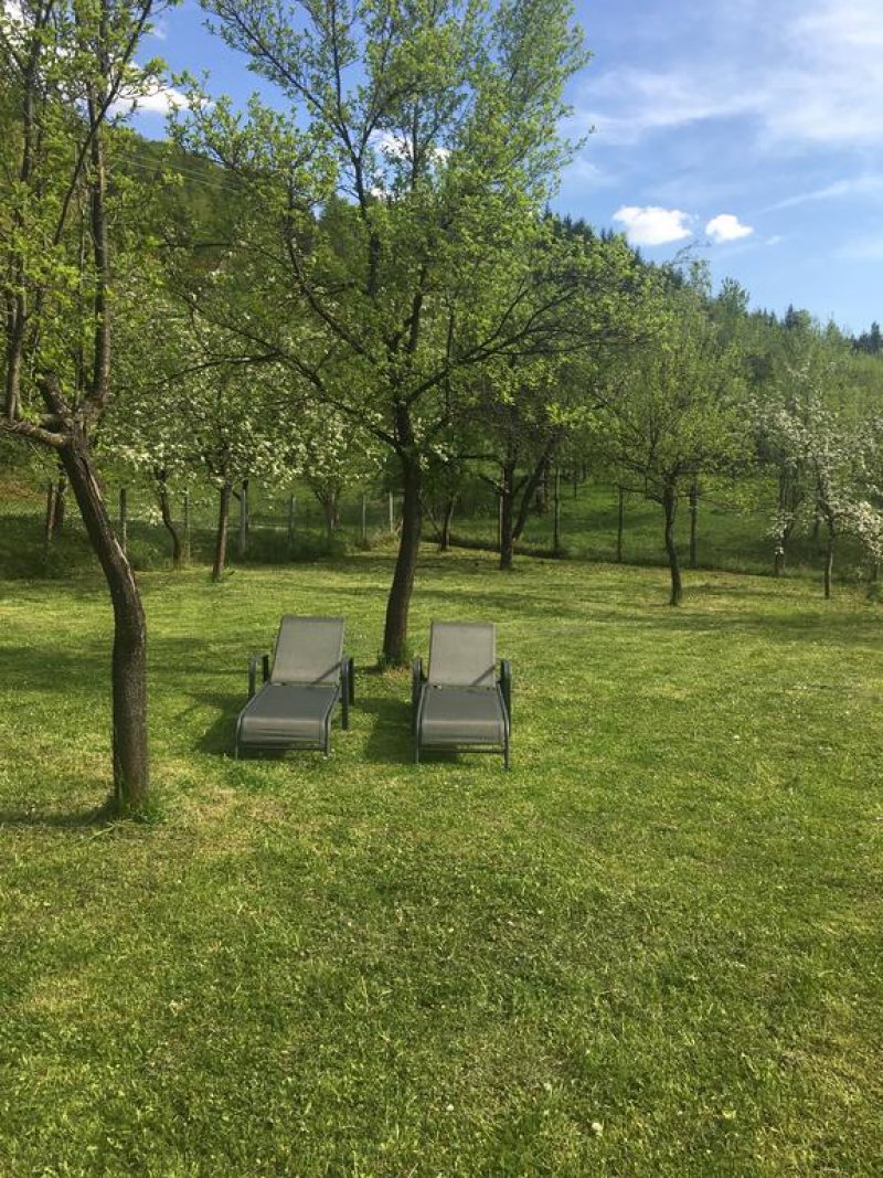 Къща за гости Почивка - Снимка 8