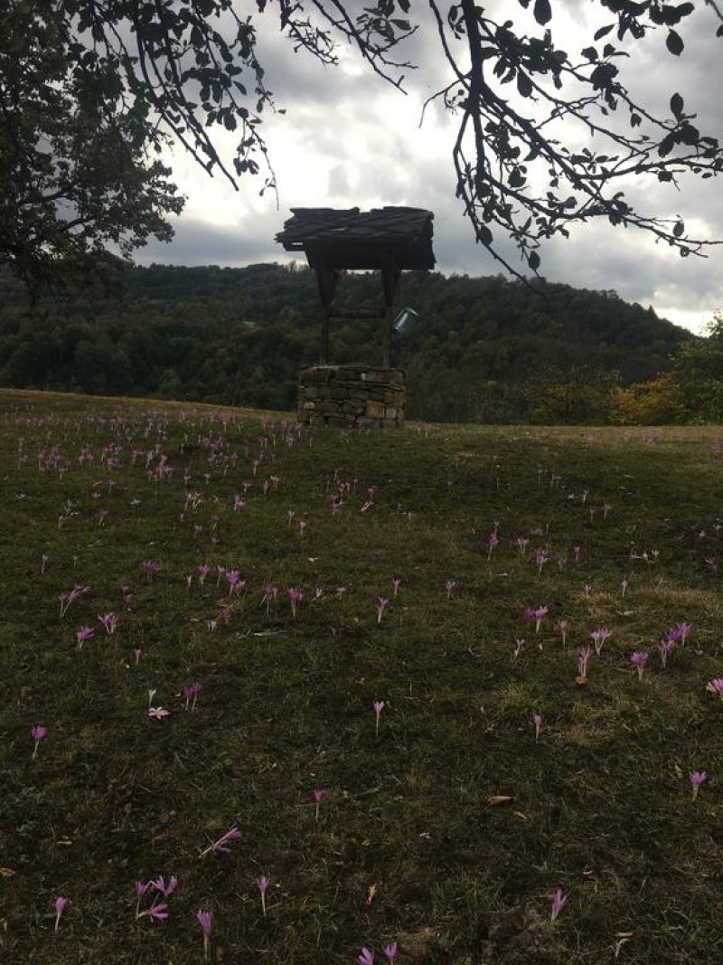 Къща за гости Почивка - Снимка 4