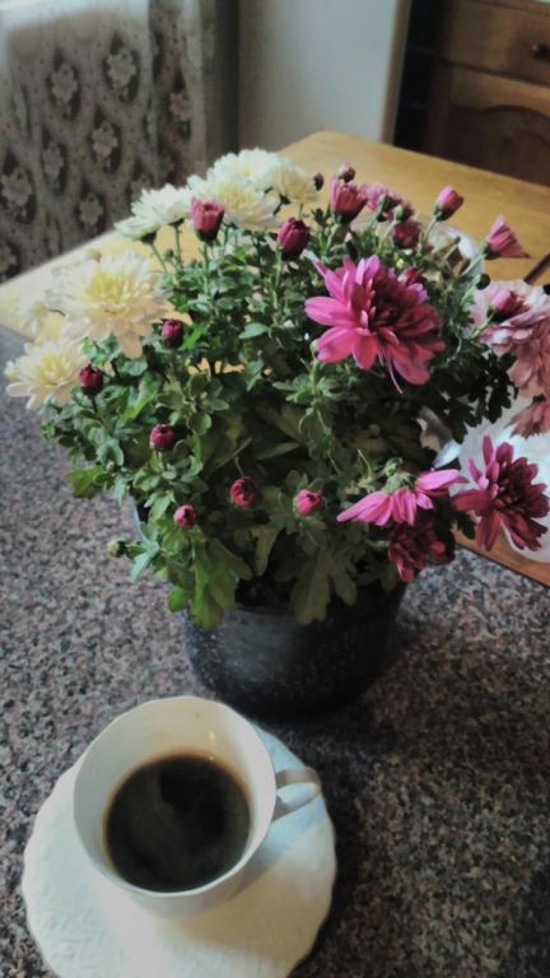 Къща за гости Почивка - Снимка 4