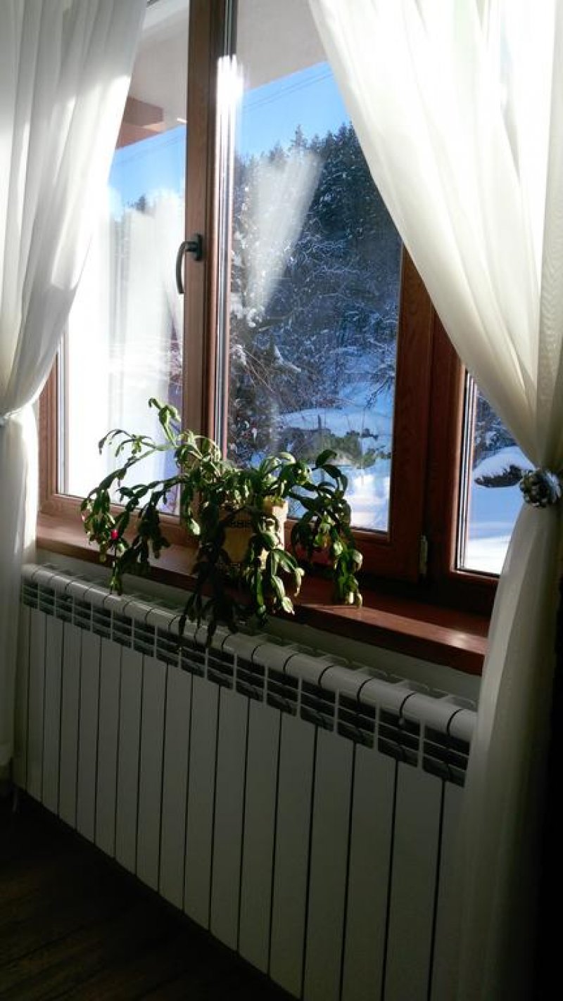 Къща за гости Почивка - Снимка 7