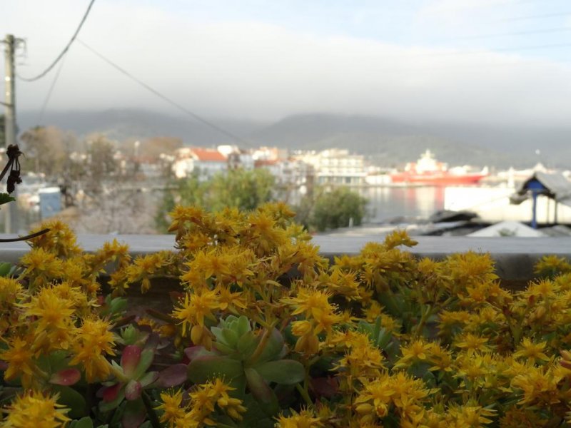 Captain's Beach Boutique Apartments - Снимка 2