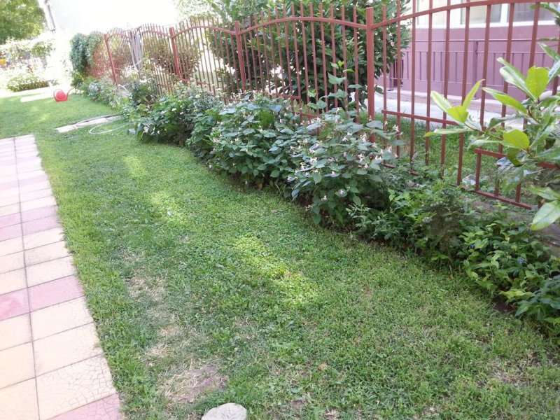 Хотел Дива - Снимка 9