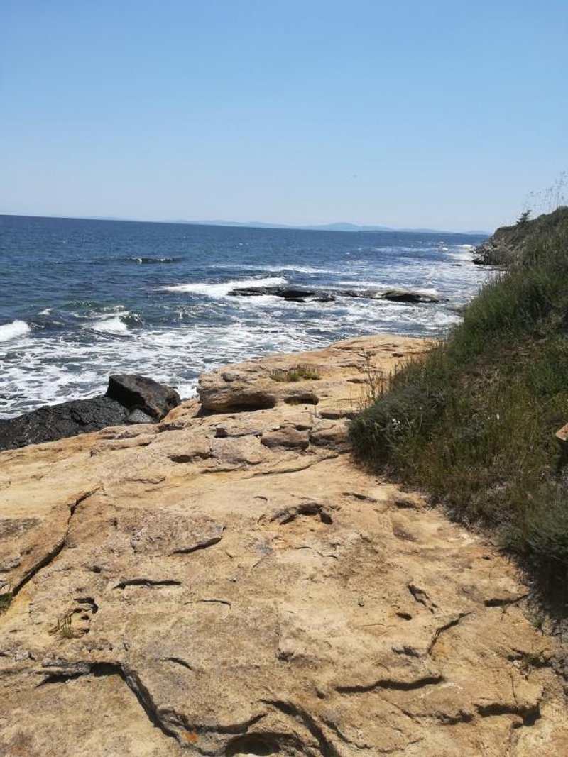 Хотел Дива - Снимка 11