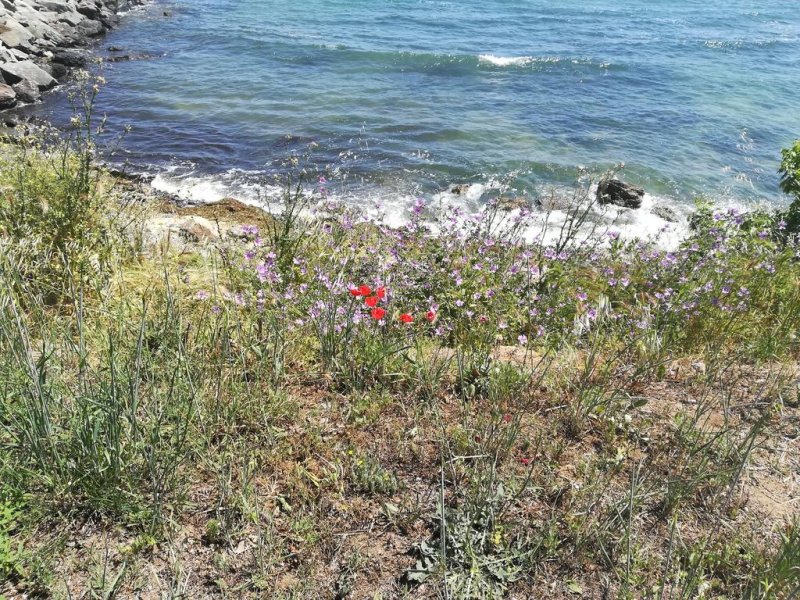 Хотел Дива - Снимка 2