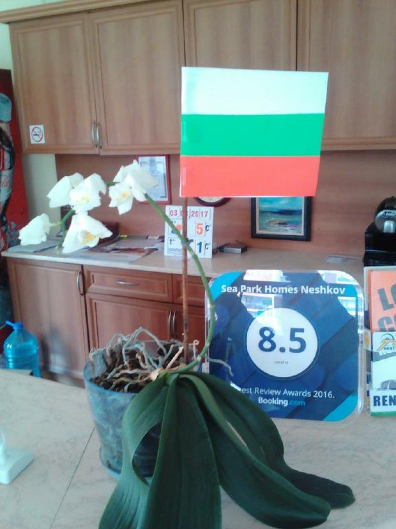 Сий Парк Хоумс Нешков - Снимка 5