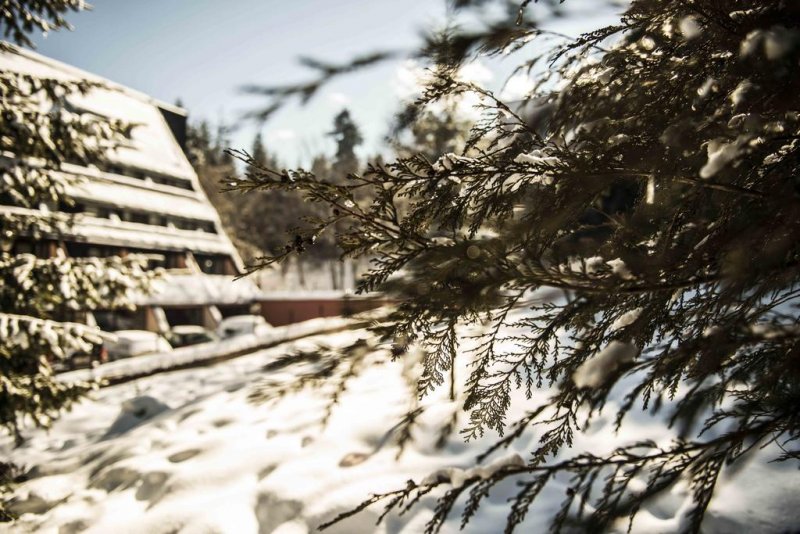 Хотел Мура - Снимка 2