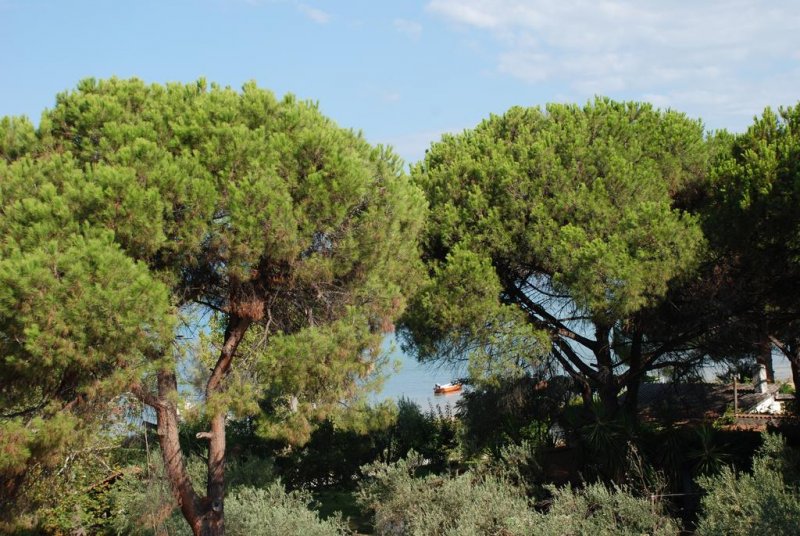 Diaporos - Снимка 11