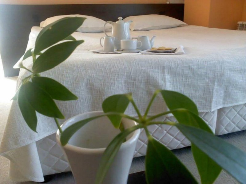 Хотел Елица - Снимка 9