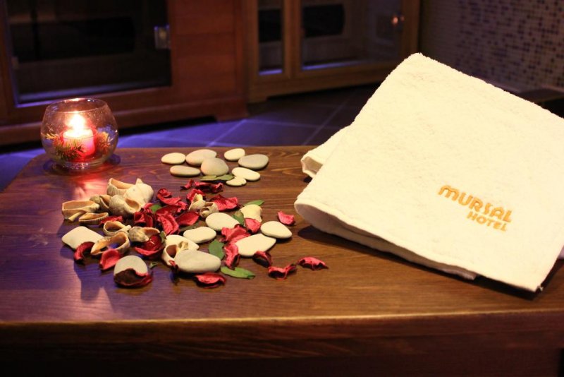 Хотел Мурсал - Снимка 7