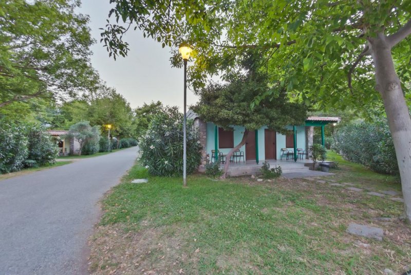 Olympios Zeus - Снимка 11