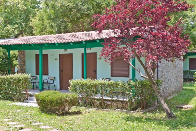 Olympios Zeus - Снимка 4