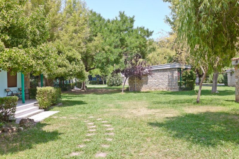 Olympios Zeus - Снимка 7